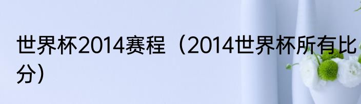 世界杯2014赛程（2014世界杯所有比分）