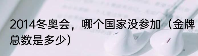 2014冬奥会，哪个国家没参加（金牌总数是多少）