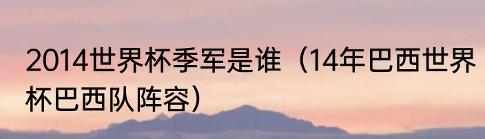 2014世界杯季军是谁（14年巴西世界杯巴西队阵容）