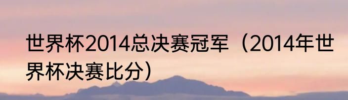 世界杯2014总决赛冠军（2014年世界杯决赛比分）