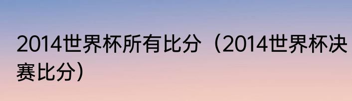 2014世界杯所有比分（2014世界杯决赛比分）