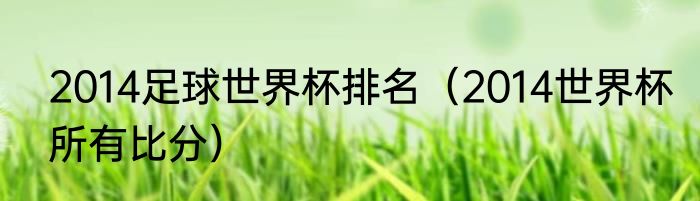 2014足球世界杯排名（2014世界杯所有比分）