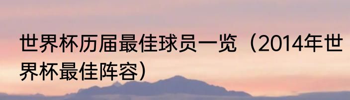 世界杯历届最佳球员一览（2014年世界杯最佳阵容）