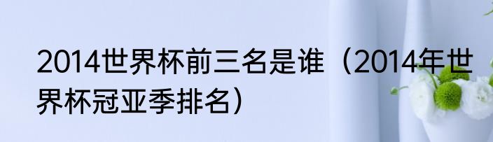 2014世界杯前三名是谁（2014年世界杯冠亚季排名）