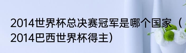 2014世界杯总决赛冠军是哪个国家（2014巴西世界杯得主）
