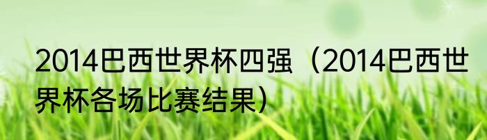 2014巴西世界杯四强（2014巴西世界杯各场比赛结果）