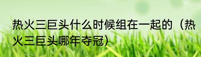 热火三巨头什么时候组在一起的（热火三巨头哪年夺冠）