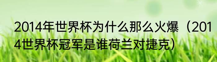 2014年世界杯为什么那么火爆（2014世界杯冠军是谁荷兰对捷克）