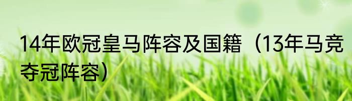 14年欧冠皇马阵容及国籍（13年马竞夺冠阵容）