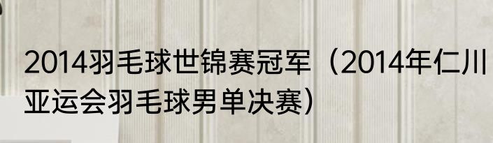 2014羽毛球世锦赛冠军（2014年仁川亚运会羽毛球男单决赛）