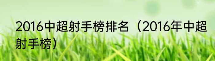 2016中超射手榜排名（2016年中超射手榜）