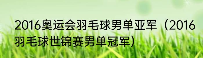 2016奥运会羽毛球男单亚军（2016羽毛球世锦赛男单冠军）