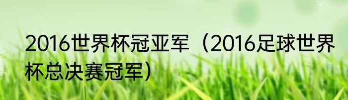 2016世界杯冠亚军（2016足球世界杯总决赛冠军）