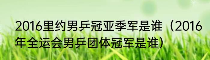 2016里约男乒冠亚季军是谁（2016年全运会男乒团体冠军是谁）