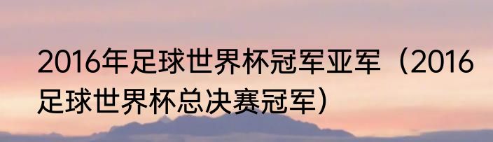 2016年足球世界杯冠军亚军（2016足球世界杯总决赛冠军）