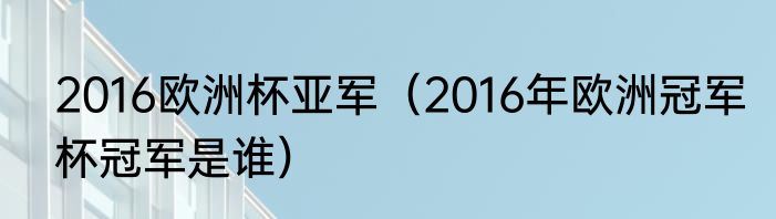 2016欧洲杯亚军（2016年欧洲冠军杯冠军是谁）