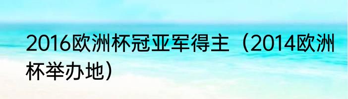 2016欧洲杯冠亚军得主（2014欧洲杯举办地）