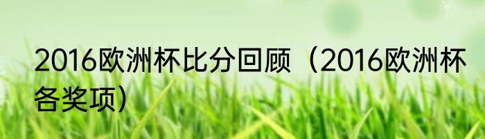 2016欧洲杯比分回顾（2016欧洲杯各奖项）