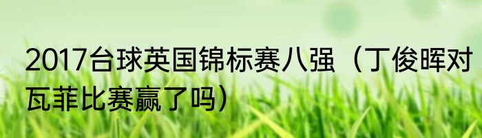 2017台球英国锦标赛八强（丁俊晖对瓦菲比赛赢了吗）