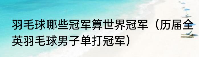 羽毛球哪些冠军算世界冠军（历届全英羽毛球男子单打冠军）