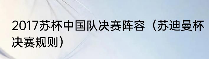 2017苏杯中国队决赛阵容（苏迪曼杯决赛规则）