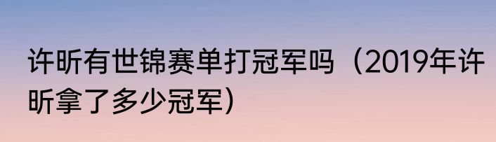 许昕有世锦赛单打冠军吗（2019年许昕拿了多少冠军）