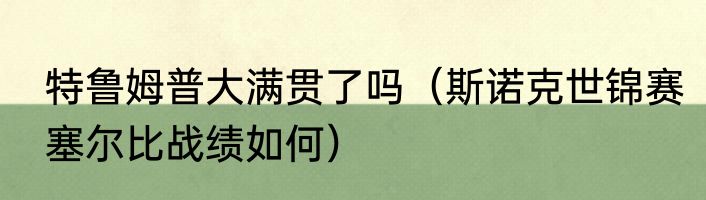 特鲁姆普大满贯了吗（斯诺克世锦赛塞尔比战绩如何）