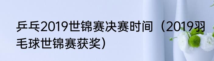 乒乓2019世锦赛决赛时间（2019羽毛球世锦赛获奖）