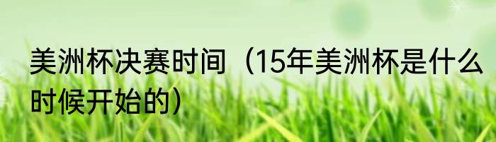 美洲杯决赛时间（15年美洲杯是什么时候开始的）