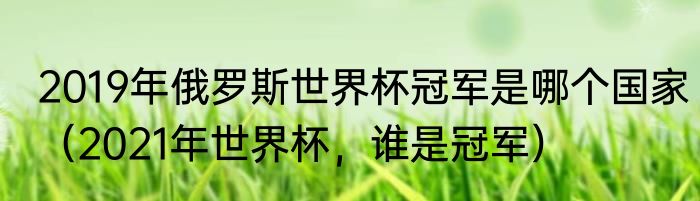 2019年俄罗斯世界杯冠军是哪个国家（2021年世界杯，谁是冠军）