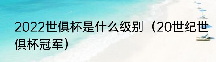 2022世俱杯是什么级别（20世纪世俱杯冠军）