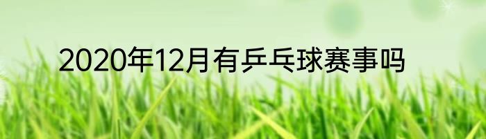 2020年12月有乒乓球赛事吗