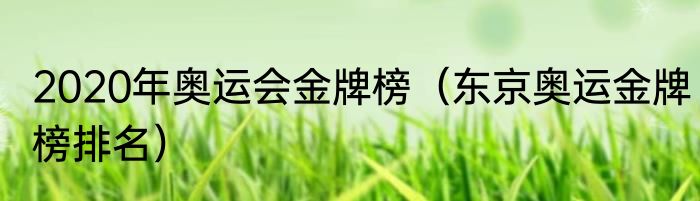 2020年奥运会金牌榜（东京奥运金牌榜排名）