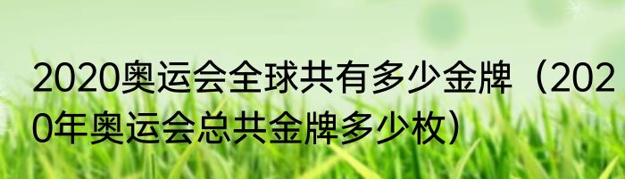 2020奥运会全球共有多少金牌（2020年奥运会总共金牌多少枚）
