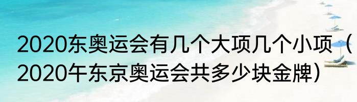 2020东奥运会有几个大项几个小项（2020午东京奥运会共多少块金牌）