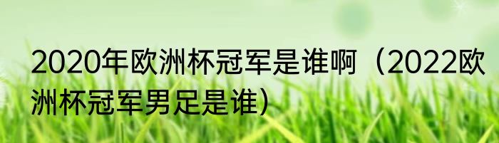 2020年欧洲杯冠军是谁啊（2022欧洲杯冠军男足是谁）