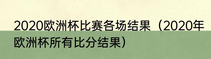 2020欧洲杯比赛各场结果（2020年欧洲杯所有比分结果）