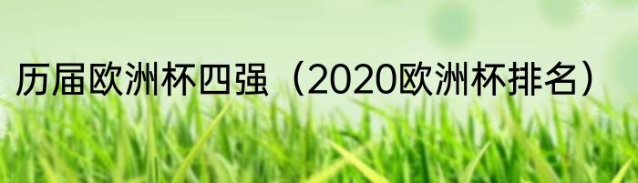 历届欧洲杯四强（2020欧洲杯排名）