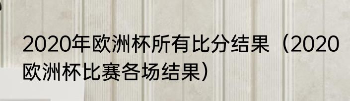 2020年欧洲杯所有比分结果（2020欧洲杯比赛各场结果）