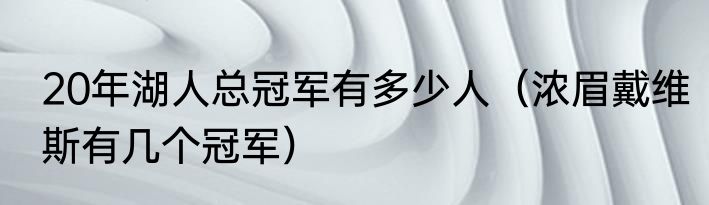 20年湖人总冠军有多少人（浓眉戴维斯有几个冠军）