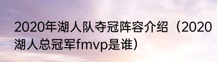 2020年湖人队夺冠阵容介绍（2020湖人总冠军fmvp是谁）