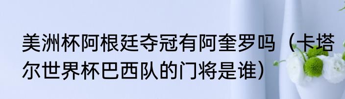美洲杯阿根廷夺冠有阿奎罗吗（卡塔尔世界杯巴西队的门将是谁）