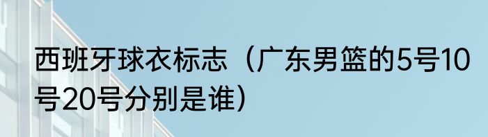 西班牙球衣标志（广东男篮的5号10号20号分别是谁）