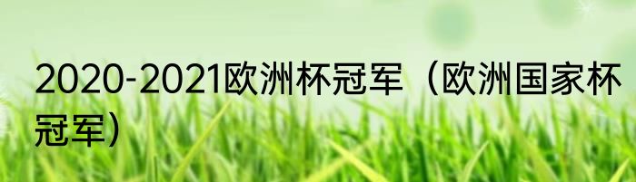 2020-2021欧洲杯冠军（欧洲国家杯冠军）