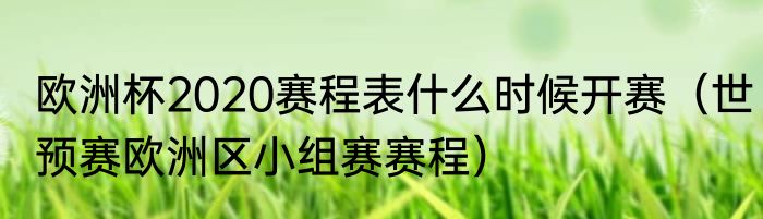欧洲杯2020赛程表什么时候开赛（世预赛欧洲区小组赛赛程）