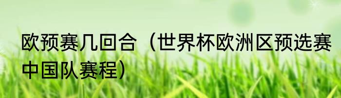 欧预赛几回合（世界杯欧洲区预选赛中国队赛程）