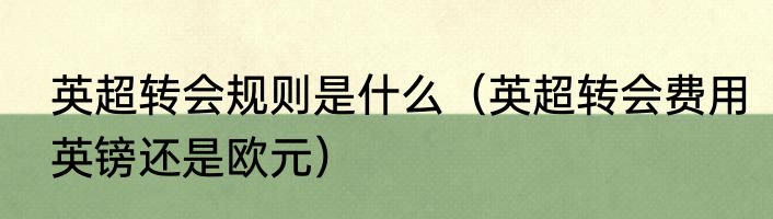 英超转会规则是什么（英超转会费用英镑还是欧元）