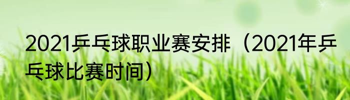 2021乒乓球职业赛安排（2021年乒乓球比赛时间）