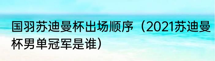 国羽苏迪曼杯出场顺序（2021苏迪曼杯男单冠军是谁）