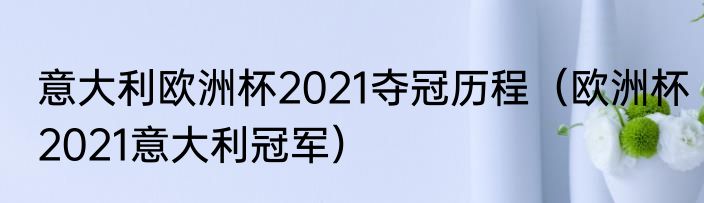 意大利欧洲杯2021夺冠历程（欧洲杯2021意大利冠军）